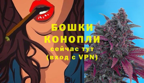 крисы Арсеньев