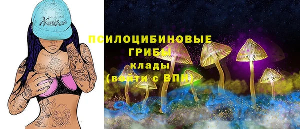 крисы Арсеньев