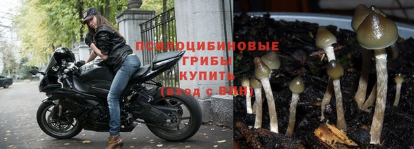 скорость Армянск