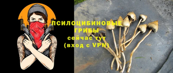 крисы Арсеньев