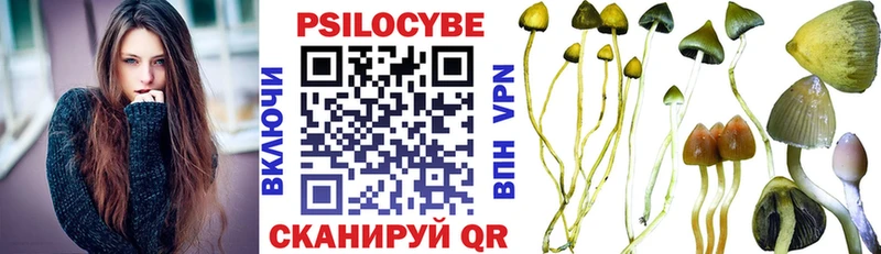 магазин наркотиков Теберда hydra ссылки Галлюциногенные грибы прущие грибы
