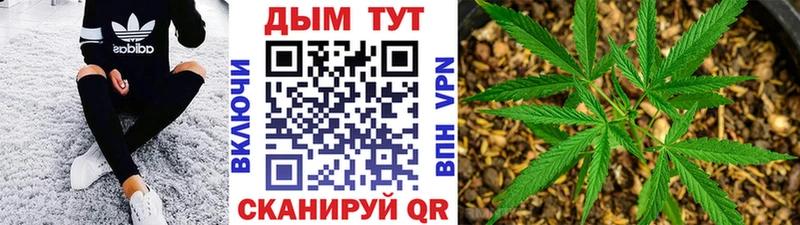 магазин продажи   Теберда  Каннабис White Widow 